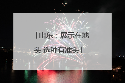山东：展示在地头 选种有准头