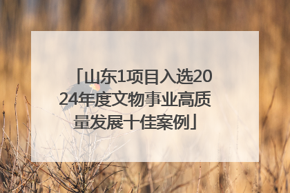 山东1项目入选2024年度文物事业高质量发展十佳案例