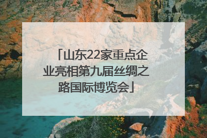 山东22家重点企业亮相第九届丝绸之路国际博览会