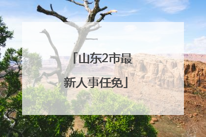 山东2市最新人事任免