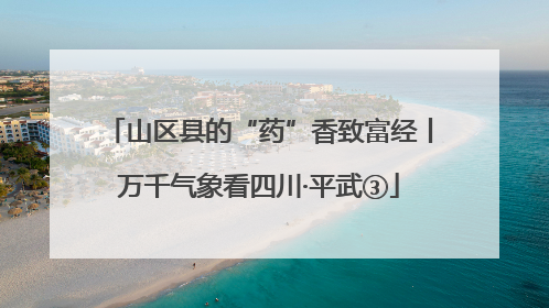 山区县的“药”香致富经丨万千气象看四川·平武③