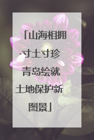 山海相拥·寸土寸珍 青岛绘就土地保护新图景