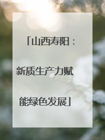 山西寿阳：新质生产力赋能绿色发展