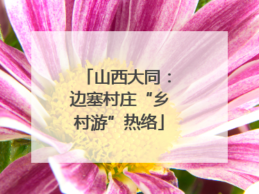山西大同：边塞村庄“乡村游”热络
