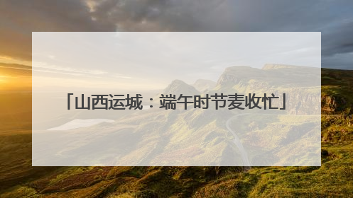 山西运城：端午时节麦收忙