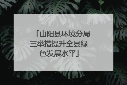 山阳县环境分局三举措提升全县绿色发展水平