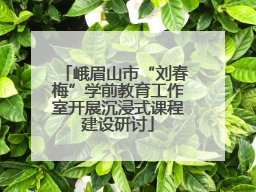 峨眉山市“刘春梅”学前教育工作室开展沉浸式课程建设研讨