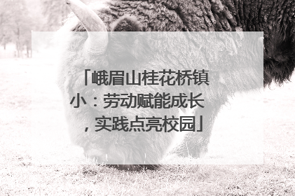 峨眉山桂花桥镇小：劳动赋能成长，实践点亮校园