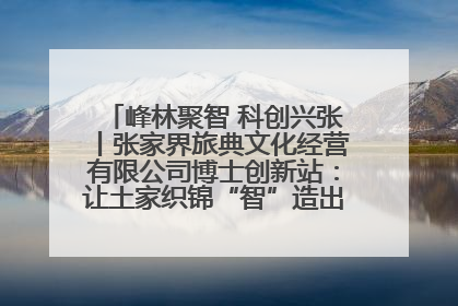 峰林聚智 科创兴张丨张家界旅典文化经营有限公司博士创新站：让土家织锦“智”造出非遗新传奇