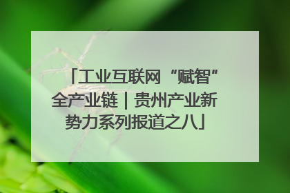 工业互联网“赋智”全产业链｜贵州产业新势力系列报道之八