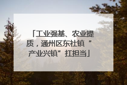 工业强基、农业提质，通州区东社镇“产业兴镇”扛担当