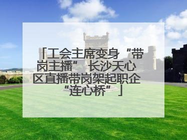 工会主席变身“带岗主播” 长沙天心区直播带岗架起职企“连心桥”