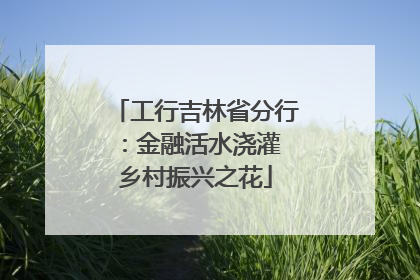 工行吉林省分行：金融活水浇灌 乡村振兴之花