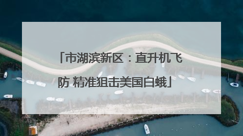 市湖滨新区：直升机飞防 精准狙击美国白蛾