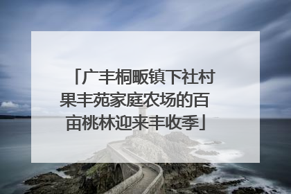 广丰桐畈镇下社村果丰苑家庭农场的百亩桃林迎来丰收季