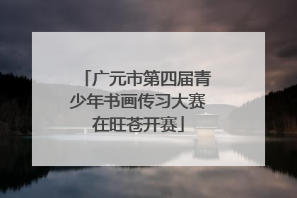 广元市第四届青少年书画传习大赛在旺苍开赛