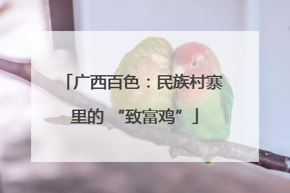 广西百色：民族村寨里的 “致富鸡”
