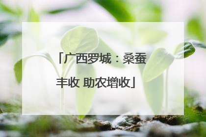 广西罗城：桑蚕丰收 助农增收