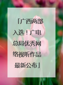 广西两部入选！广电总局优秀网络视听作品最新公布