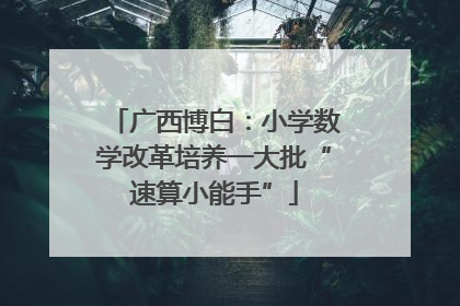 广西博白：小学数学改革培养一大批“速算小能手”