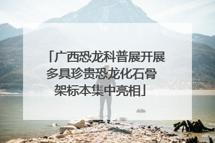 广西恐龙科普展开展 多具珍贵恐龙化石骨架标本集中亮相