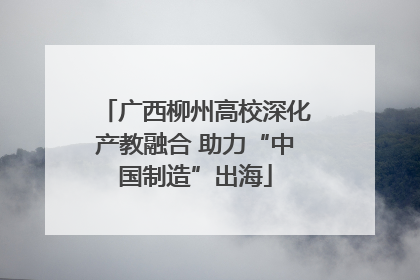 广西柳州高校深化产教融合 助力“中国制造”出海