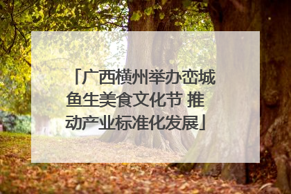 广西横州举办峦城鱼生美食文化节 推动产业标准化发展