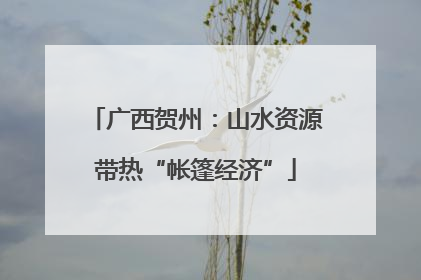 广西贺州：山水资源带热“帐篷经济”