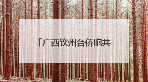 广西钦州台侨胞共迎端午 看运河建设感受家国强大