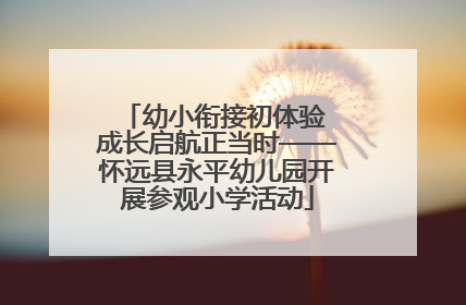 幼小衔接初体验 成长启航正当时——怀远县永平幼儿园开展参观小学活动