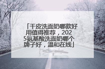 干皮洗面奶哪款好用值得推荐，2025氨基酸洗面奶哪个牌子好，温和在线