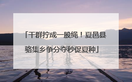 干群拧成一股绳！夏邑县骆集乡争分夺秒促夏种