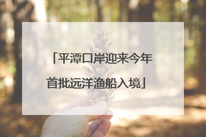 平潭口岸迎来今年首批远洋渔船入境