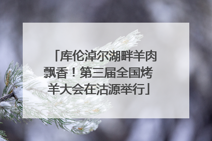 库伦淖尔湖畔羊肉飘香！第三届全国烤羊大会在沽源举行