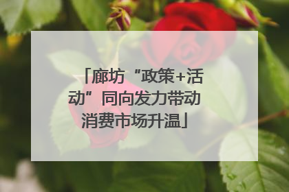 廊坊“政策+活动”同向发力带动消费市场升温