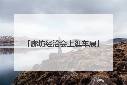 廊坊经洽会上逛车展