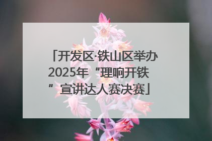 开发区·铁山区举办2025年“理响开铁”宣讲达人赛决赛