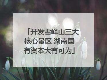 开发雪峰山三大核心景区 湖南国有资本大有可为