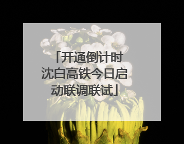 开通倒计时 沈白高铁今日启动联调联试