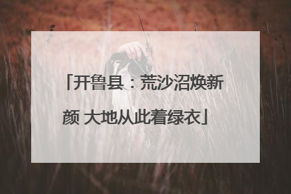 开鲁县：荒沙沼焕新颜 大地从此着绿衣