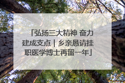 弘扬三大精神 奋力建成支点｜乡亲恳请挂职医学博士再留一年
