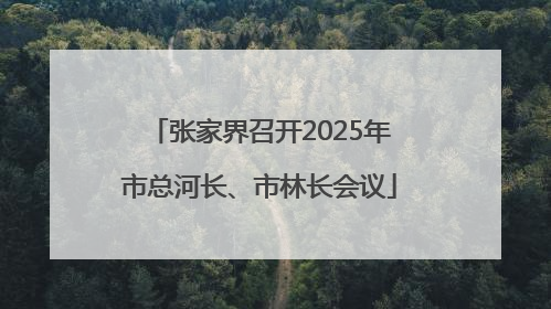 张家界召开2025年市总河长、市林长会议