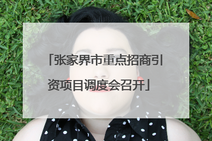 张家界市重点招商引资项目调度会召开