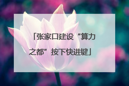 张家口建设“算力之都”按下快进键