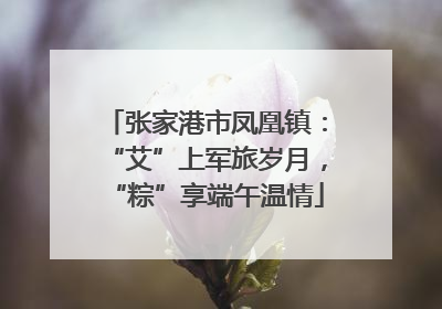 张家港市凤凰镇：“艾”上军旅岁月，“粽”享端午温情