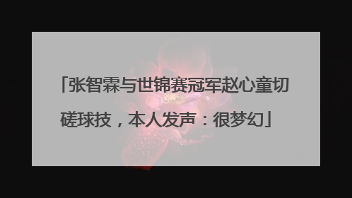 张智霖与世锦赛冠军赵心童切磋球技，本人发声：很梦幻