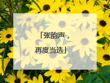 张韵声，再度当选