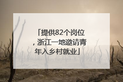 提供82个岗位，浙江一地邀请青年入乡村就业