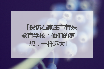 探访石家庄市特殊教育学校：他们的梦想，一样远大