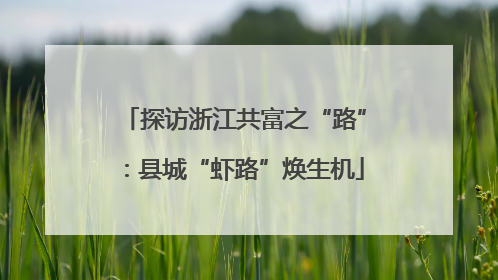 探访浙江共富之“路”：县城“虾路”焕生机